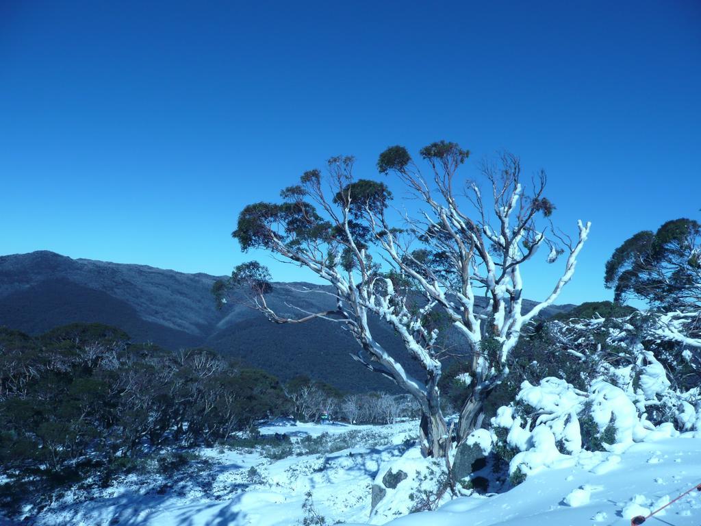 Villa Chill-Out - Thredbo Chambre photo