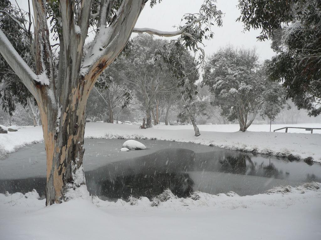 Villa Chill-Out - Thredbo Chambre photo
